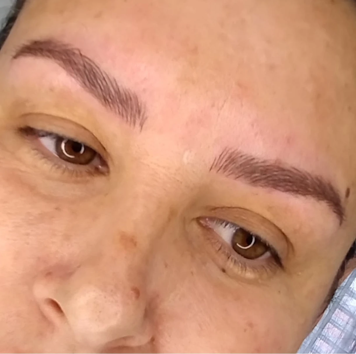 Micro Cejas