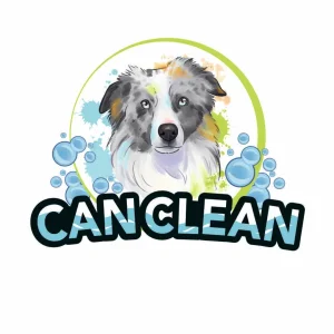 Can Clean Gijón